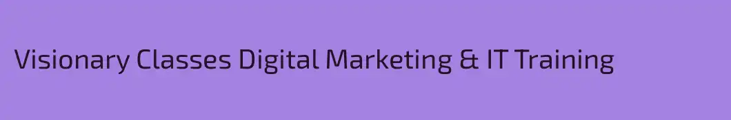 Visionary Classes Digital Marketing & IT Training
